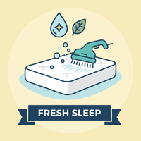 Mattress Deep Cleaning